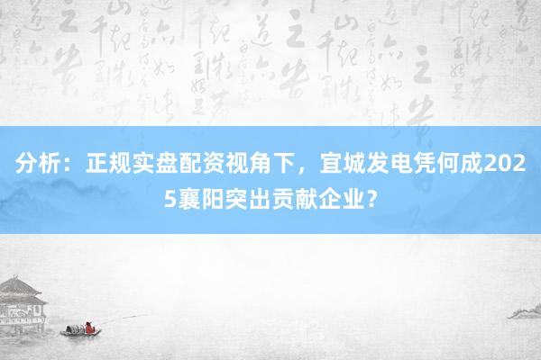 分析：正规实盘配资视角下，宜城发电凭何成2025襄阳突出贡献企业？